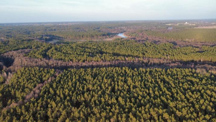 Fot. Mateusz Pawelec